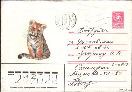 1986 год А.Исаков Тигрёнок 86-461
