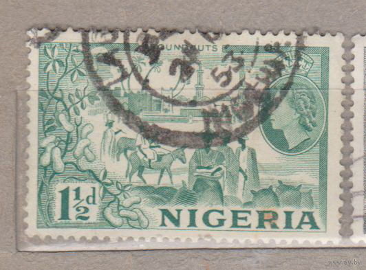 Британские колонии Флора Фауна Известные личности люди Королева Елизавета 2  Нигерия 1953 год  лот 11 менее 30 % от каталога