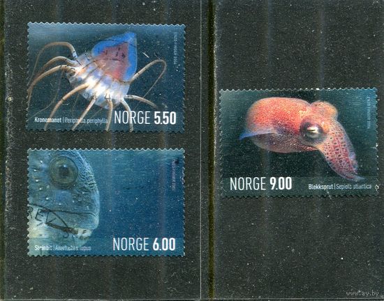 Норвегия. Морская фауна. Вып.1