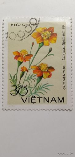 Вьетнам 1978. Цветы. Хризантемы