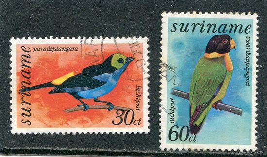 Суринам. Фауна. Птицы