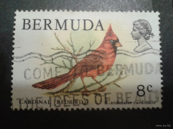 Бермуды, колония Англии 1978 птица Mi-2,4 евро гаш.