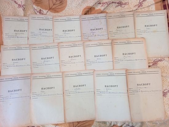 Паспорта на озера Браславского района 1944 года , созданы сразу после оккупации . 16 штук  . С картами и учётом рыбы !!! Редчайший лот !с 3 руб за паспорт  .