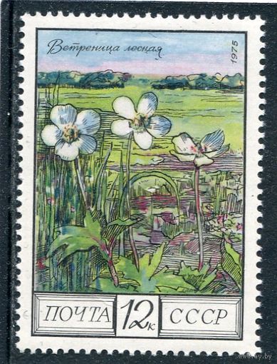 СССР 1975. Флора. Ветреница лесная
