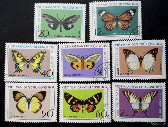 Вьетнам 1976 г. Бабочки. Фауна, полная серия из 8 марок #0117-Ф1
