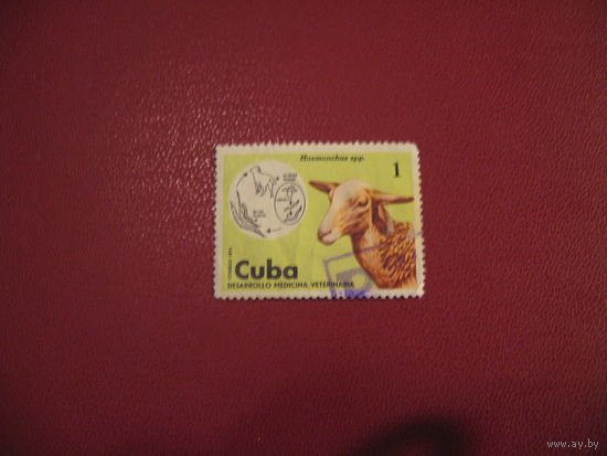 Марка Овечка (Домашние животные) 1975 год Куба