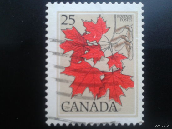 Канада 1977 стандарт, листья клена