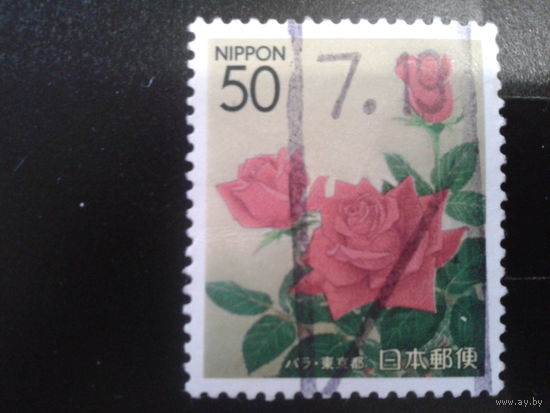 Япония 2000 роза Кристиан Диор