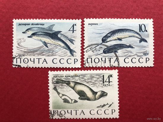 СССР 1971 год. Морские млекопитающие