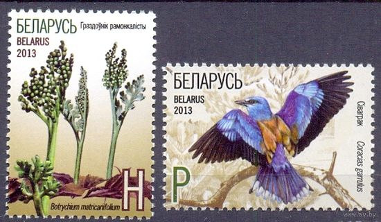 Беларусь 2013 фауна флора
