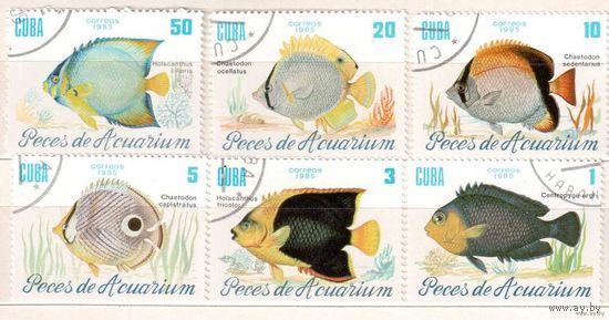 Рыбы. Серия 6 марок, 1985г.,гаш. Куба.