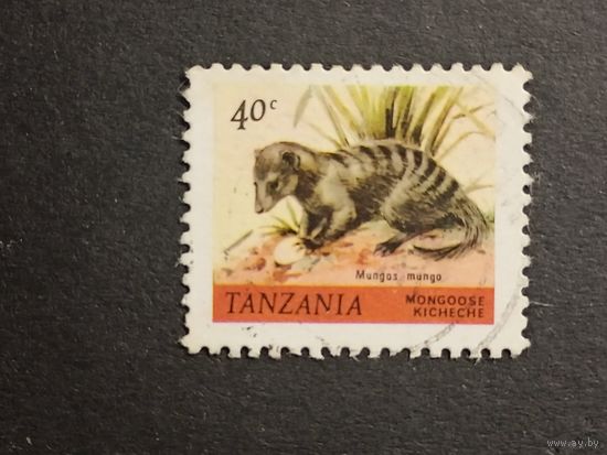 Танзания 1980. Мангуст