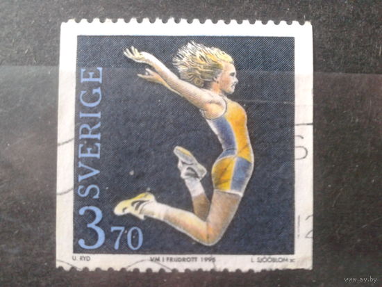 Швеция 1995 Спорт