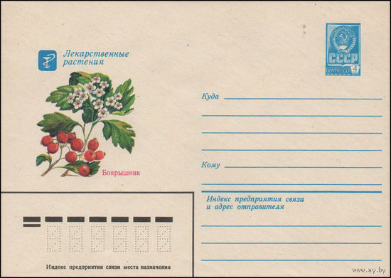 Художественный маркированный конверт СССР N 14278 (29.04.1980) Лекарственные растения  Боярышник