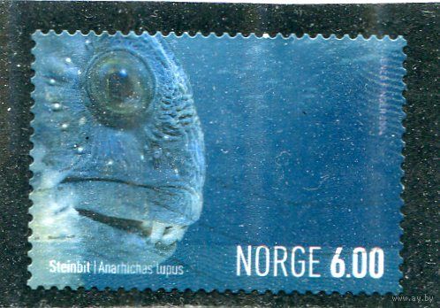 Норвегия. Морская фауна. Из вып.1
