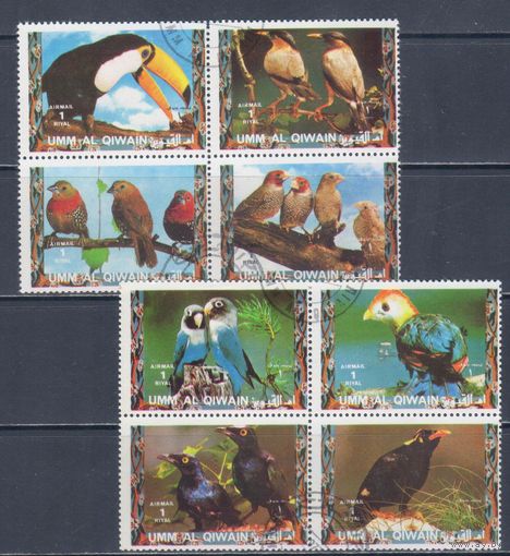 [1359] Умм аль Кайвайн 1972. Фауна.Птицы. Гашеные марки.