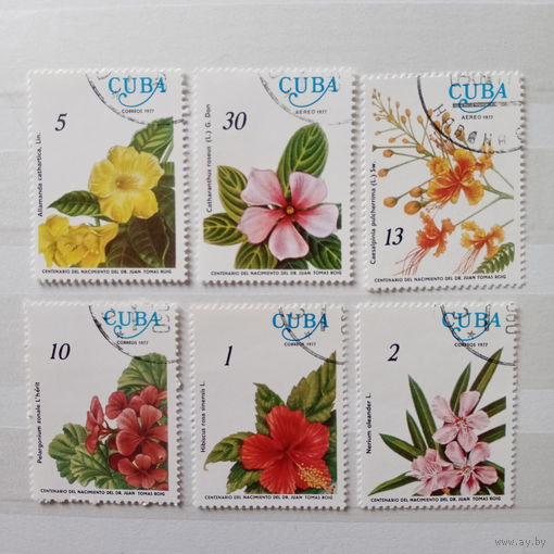 Куба 1977. Флора. Цветы