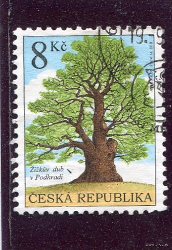 Чехия. Деревья
