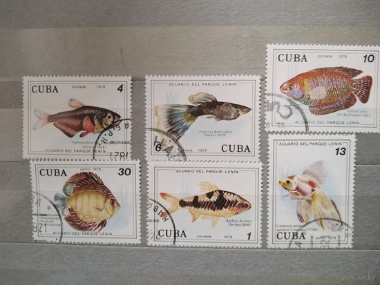 Куба. 1978г. Фауна.