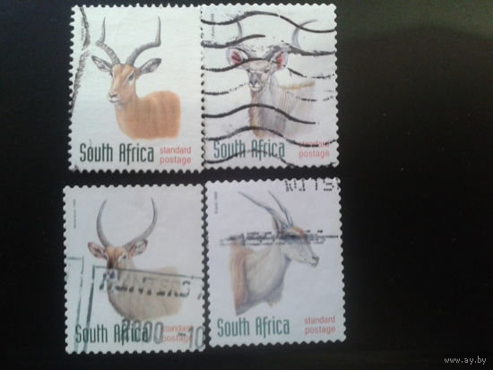 ЮАР 1998 антилопы