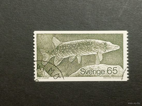Швеция 1979. Щука