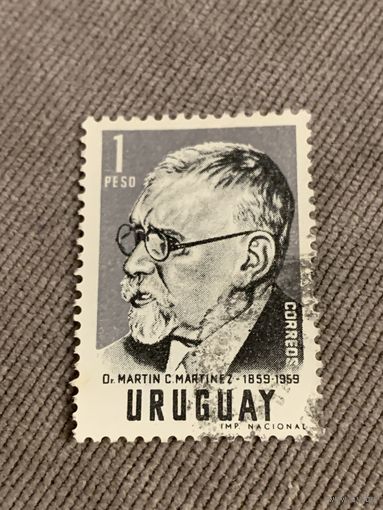 Уругвай. Доктор Мартин Мартинэз 1859-1959
