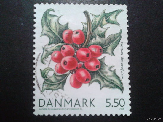 Дания 2008 ягоды