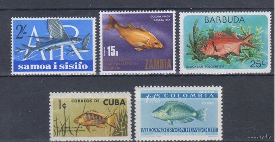 [335] Фауна.Рыбы. 5 чистых марок. MNH
