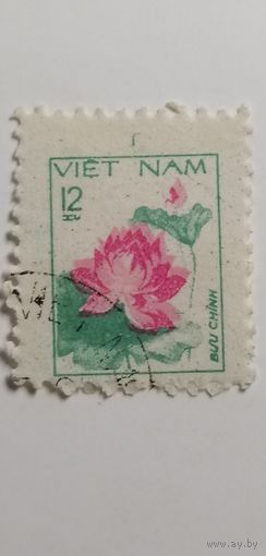 Вьетнам 1980. Розы