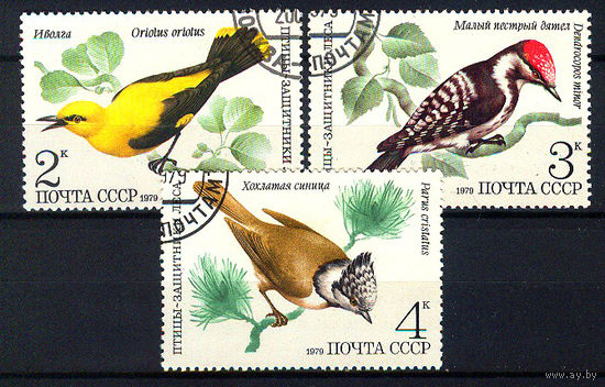 1979 СССР. Птицы