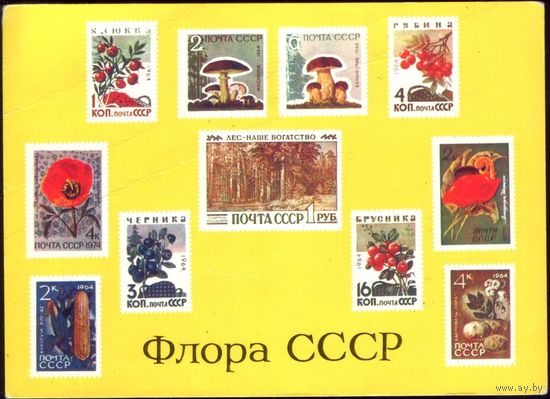 1975 год А.Кобрин Флора СССР