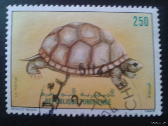 Тунис 1989 черепаха