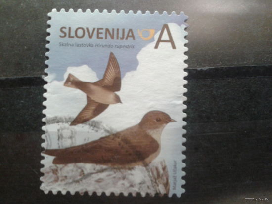 Словения 2014 Птицы зубцовка 14