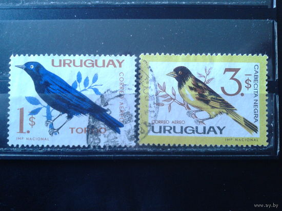 Уругвай 1962 Птицы