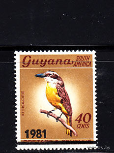 Фауна. Птицы. Гайана. 1981. 1 марка с надпечаткой. Michel N 634. (14,0 е)