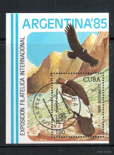 Куба-1985,(Мих.Бл.90) гаш.,  Фауна, Птицы