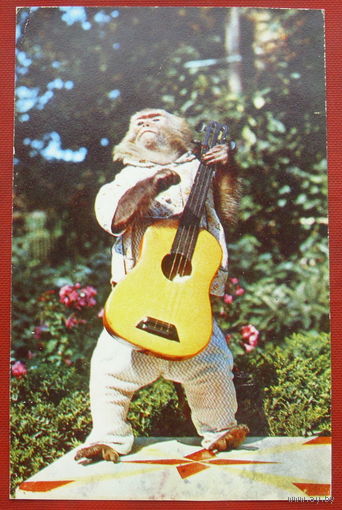 Маша-гитаристка. Чистая. 1971 года. 812.