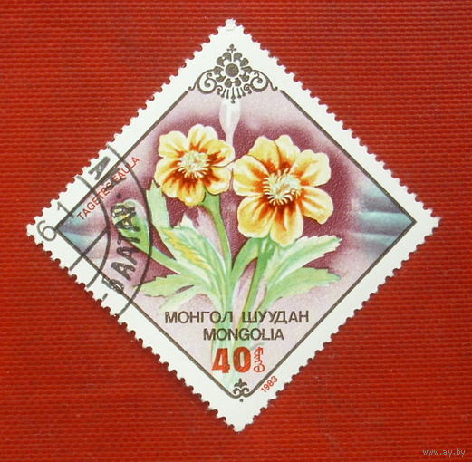 Монголия. Цветы. ( 1 марка ) 1983 года. 2-20.