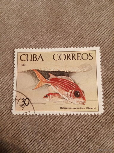 Куба 1965. Рыбы. Holocentrus ascensionis
