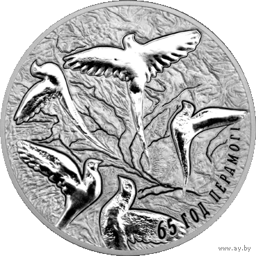 Беларусь - 20 рублей 2010 - 65 лет Победы Ag (с футляром)