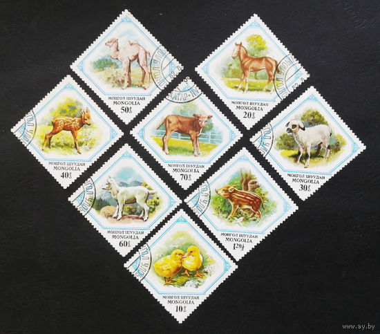 Монголия 1982 год. Детеныши животных. Фауна, полная серия из 8 марок #0075-Ф1P16