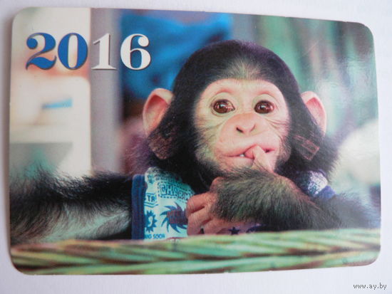 Календарик 2016 год