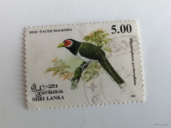 Шри Ланка 1993. Птицы.