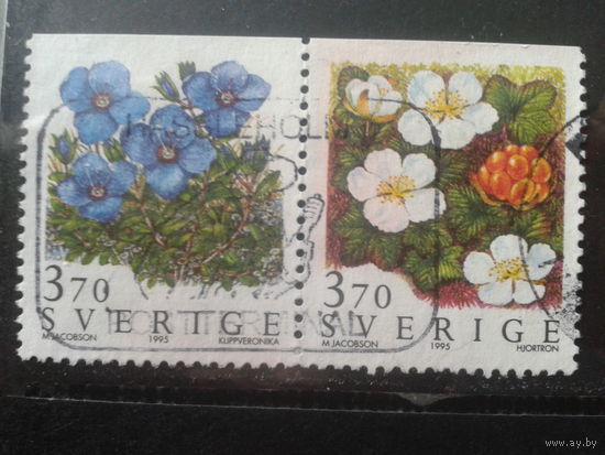 Швеция 1995 Цветы, сцепка