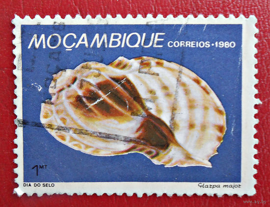 Мозамбик, 1980г., фауна, ракушки
