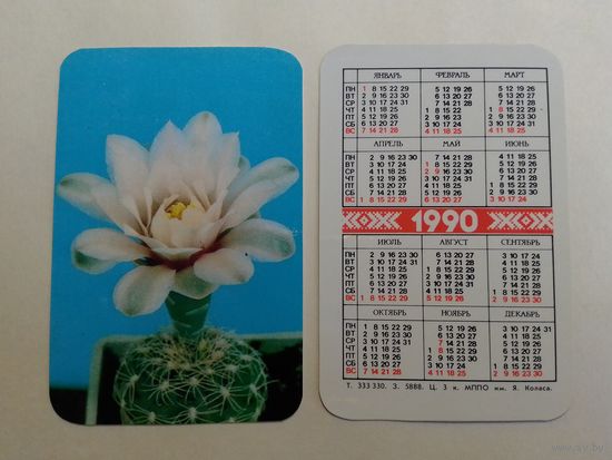 Карманный календарик. Кактус. 1990 год