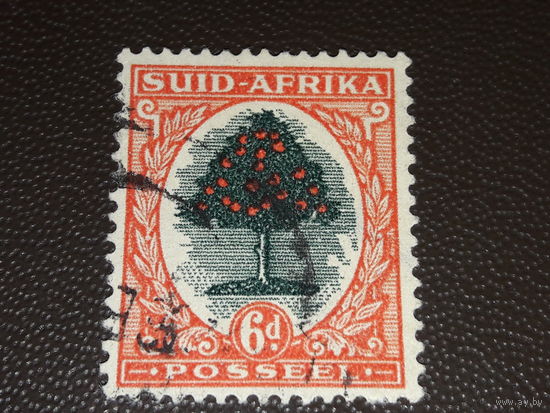 Южная Африка ЮАР 1946 Стандарт. Апельсиновое дерево