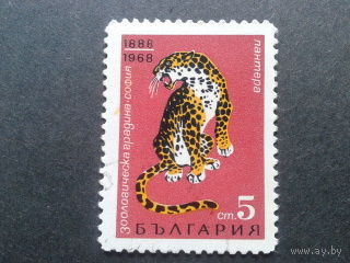 Болгария 1968 леопард