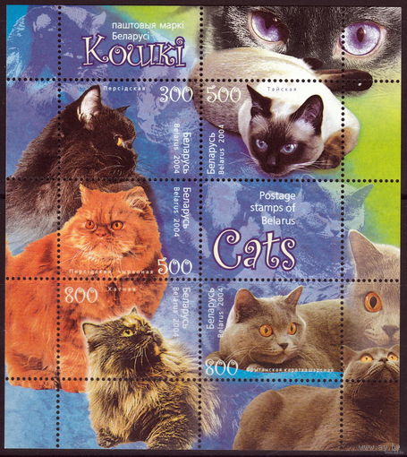 Кошки. 2004. Беларусь. Блок. Чистый