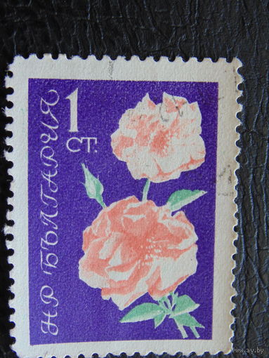 Болгария 1963 г. Флора.